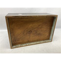 Taxidermy: Cased Rudd (Scardinius) adult mount set above a pebbled river bed, encased within a ebonised single pane display case, H30cm, L46cm