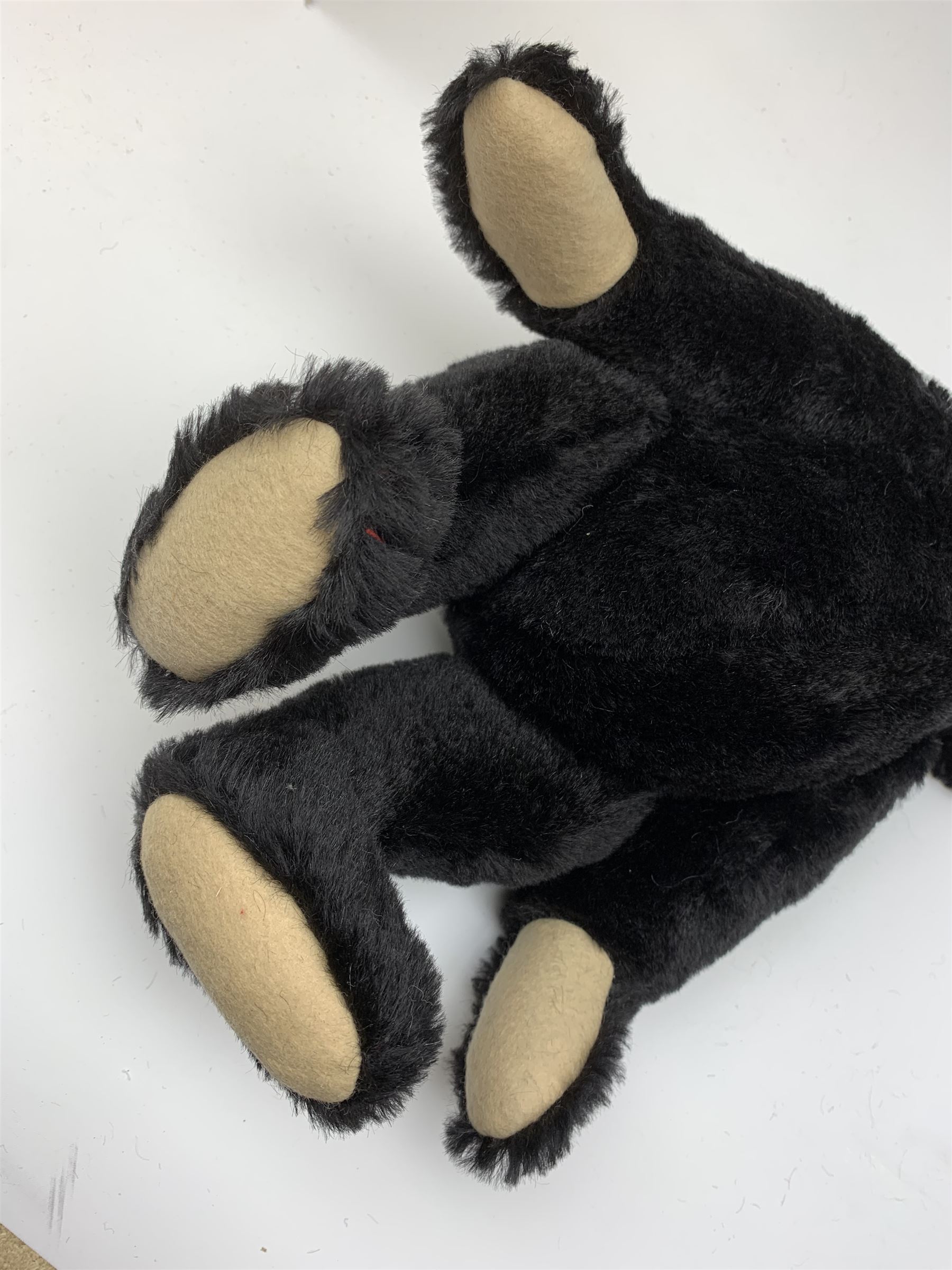 Steiff limited edition 'Mohair Teddy Bear 1907 replica' in black, No.2379/3000, H16