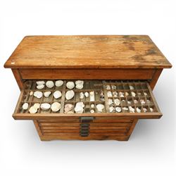 20th century oak printers cabinet, the rectangular top over a bank of twelve shallow drawers each fitted with a metal label handle, the drawers internally compartmentalised and containing an assortment of shells, raised on a shaped plinth base