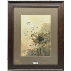 English School (Early 20th century): Coastal Scenes with Seagulls, pair watercolours signed with monogram HO? 37cm x 27cm and 26cm x 36cm (2)