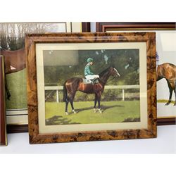 After G Keane (British 20th century): 'Mill Reef' and 'Brigadier Gerard', pair colour prints together with three further prints of Race Horses (5)