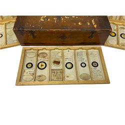 19th century and later, thirty-six microscope slides, to include entomology and plant specimens; cased    