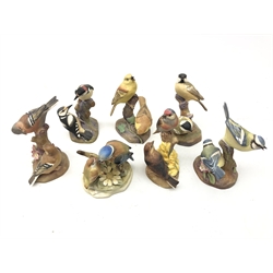  Six Royal Worcester and one Royal Adderley matt glazed bird groups including Yellow Hammers, Linnets, Coal Tits, Chaffinches, Pied Woodpeckers and others (7)  