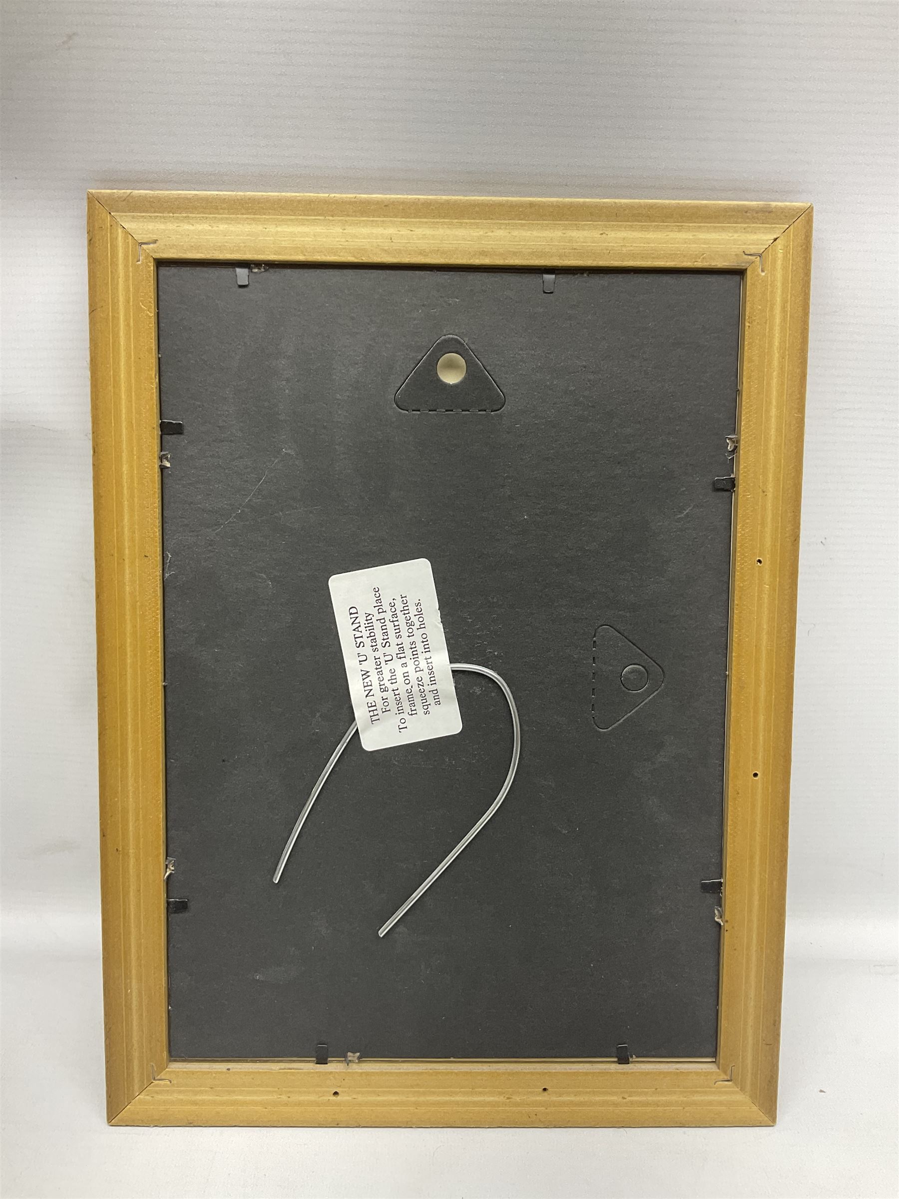  Full Set of Wade Natwest Pigs to include cousin Wesley, with an additional baby and framed leaflet 