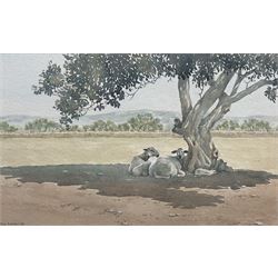 Jan Hunter (British Contemporary): 'Siesta' - Sheep in the Shade, watercolour signed and dated '97, titled on exhibition label verso 15cm x 24cm 
Provenance: exh. Society of Women Artists, London 1997, label verso