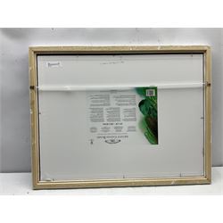 George Drury (British 1950-): J Class Yachts 'Britannia' and 'Valkyrie III' 1895, oil on canvas board signed, titled verso 42cm x 57cm