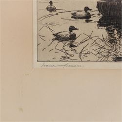 Frank Weston Benson (American 1862-1951): 'Setting Decoys', etching signed in pencil, titled verso 20cm x 27.5cm