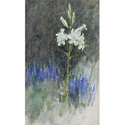 Helen Allingham RWS (British 1848-1926): Study of a Lily, watercolour unsigned, titled and attributed on gallery label verso 10cm x 6cm 
Provenance: with the Southgate Gallery, Wolverhampton, label verso