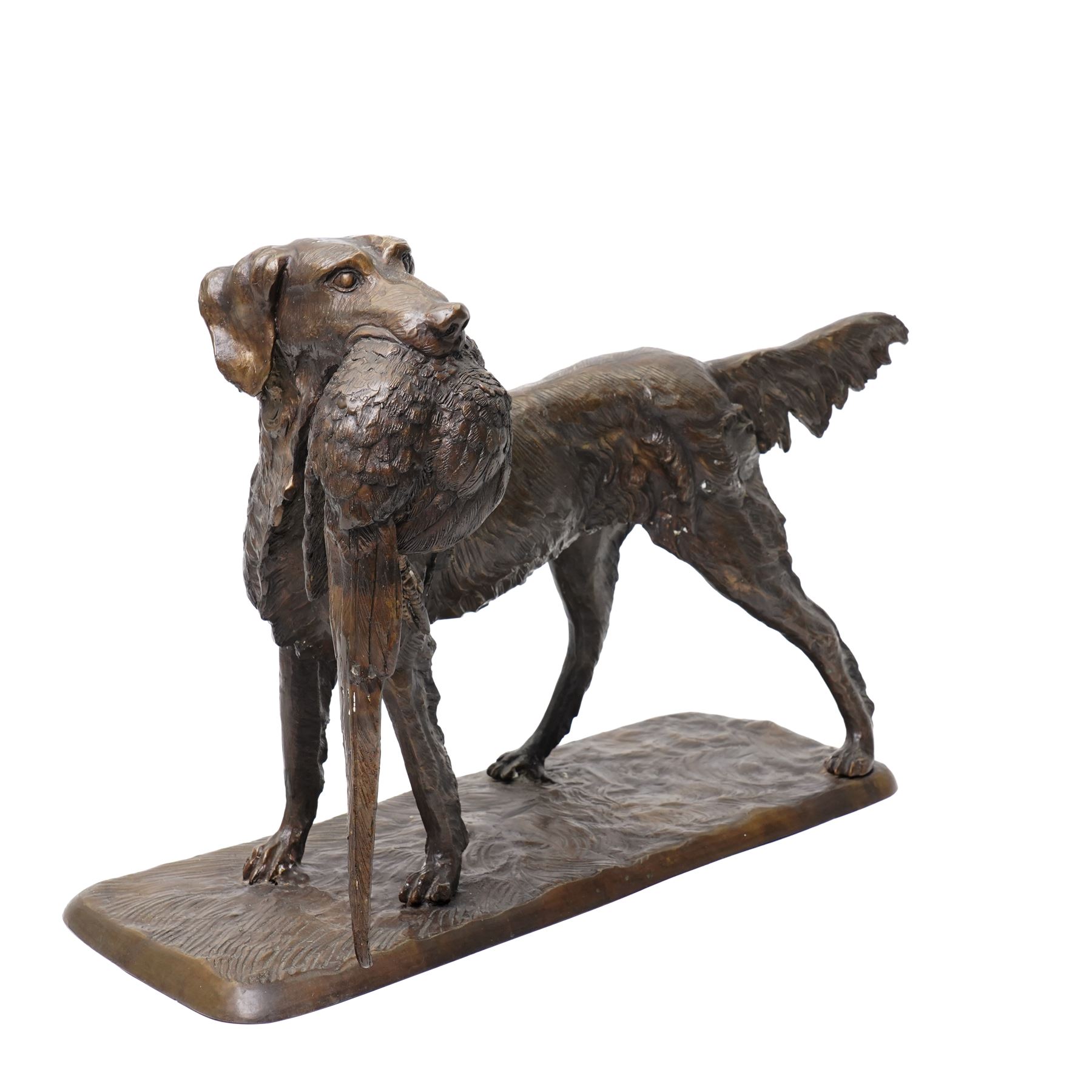 Bronze model of a setter with a pheasant in its mouth on naturalistic base H40cm x W62cm