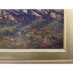 William Arthur Toplis (British 1857-1942): Girl at the Gate, oil on canvas signed and dated 1875, indistinctly titled on label verso, 44cm x 59cm