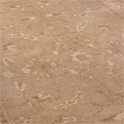 Afghan Ziegler hand-knotted carpet, soft ivory field woven with an elegant arrangement of scrolling vines and stylized palmettes with a central medallion, palette in muted tones of beige, terracotta, and blush pink, within a broad complementary border of angular floral devices and reciprocal guard stripes, fringe ends