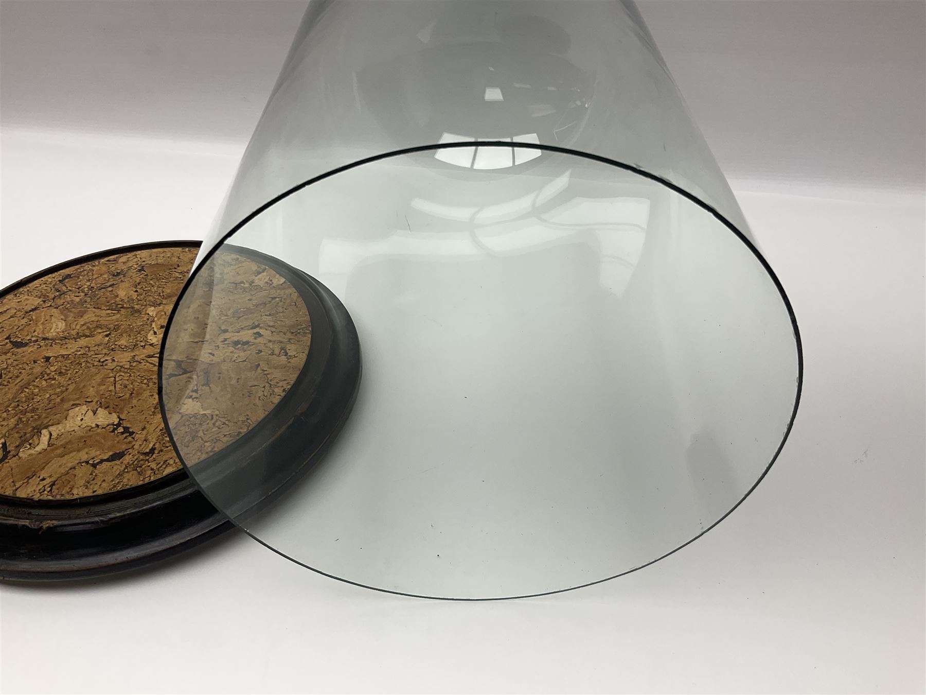 Large glass dome, upon a ebonised circular base, H48cm 