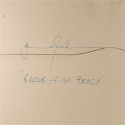 Abstract School (20th Century): 'Razor Fish Beach', oil on canvas, indistinctly signed and titled verso 102cm x 102cm (unframed)