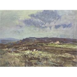 William B Dealtry (British 1915-2007): Sheep in a Landscape, oil on board signed 44cm x 59...