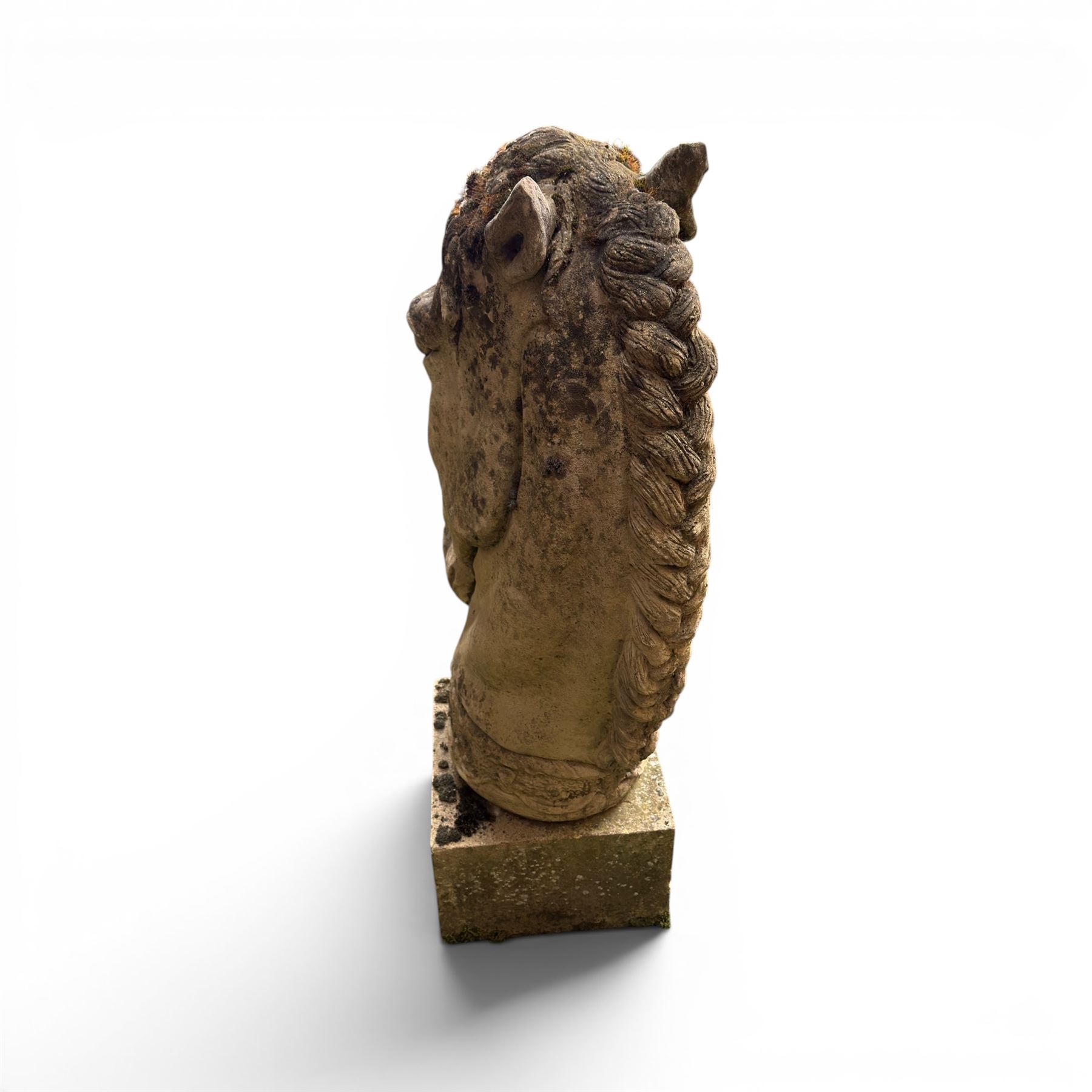 Large weathered cast stone horse head figure, raised on square plinth