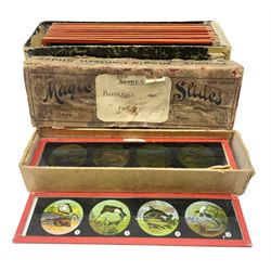 Ten Primus magic lantern slides of butterflied and fish, together with ten GNB magic lantern slides depicting stories of childhood,   