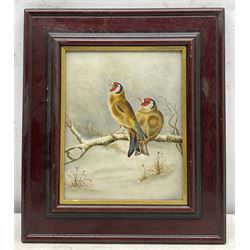 B Slatter (British 19th century): Goldfinches on a Wintry Branch, oil on board signed and dated 1890, 24cm x 19cm