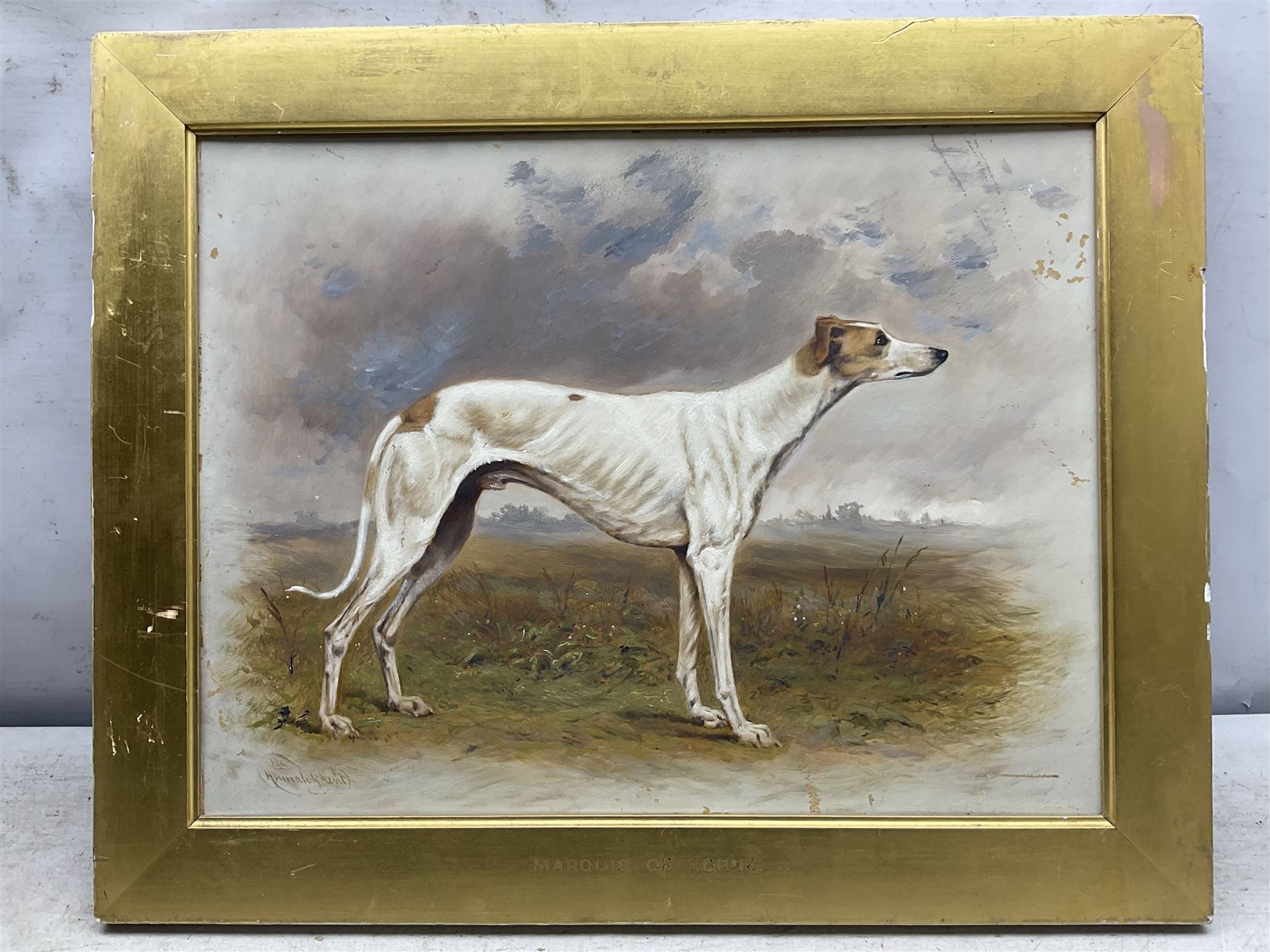 Hannah H Kent (British late 19th century): ‘Marquis of Lorne’ Greyhound Portrait, oil on board signed, titled on mount 33cm x 43cm 