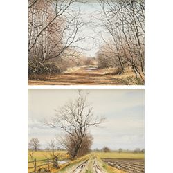 Neil Spilman (British 1951-): Autumn Woodland Path and Ploughed Fields, pair oils signed a...