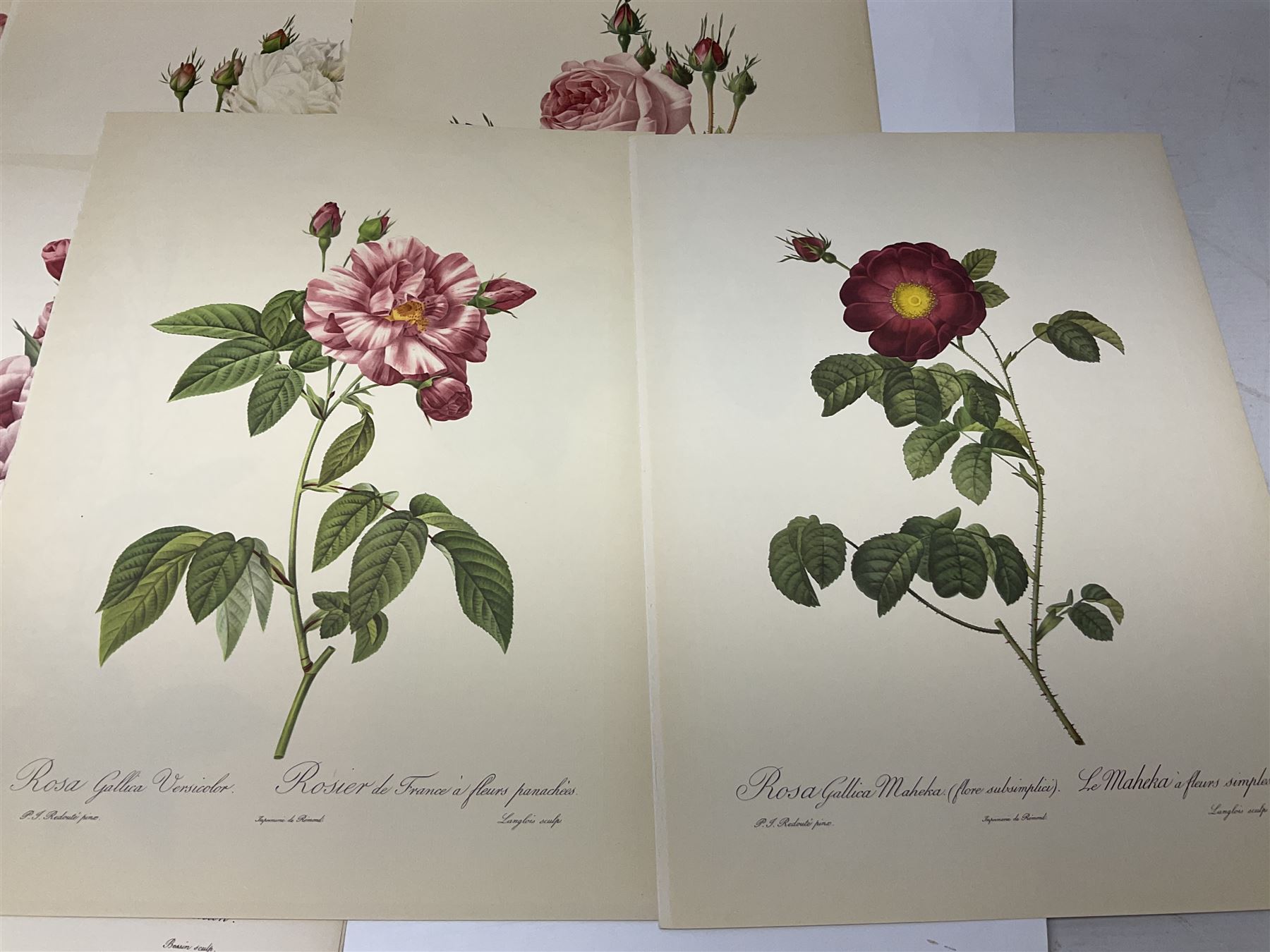 Pierre-Joseph Redoute; two copies of Roses 2, published by The Ariel Press, London 1956, containing coloured plates 