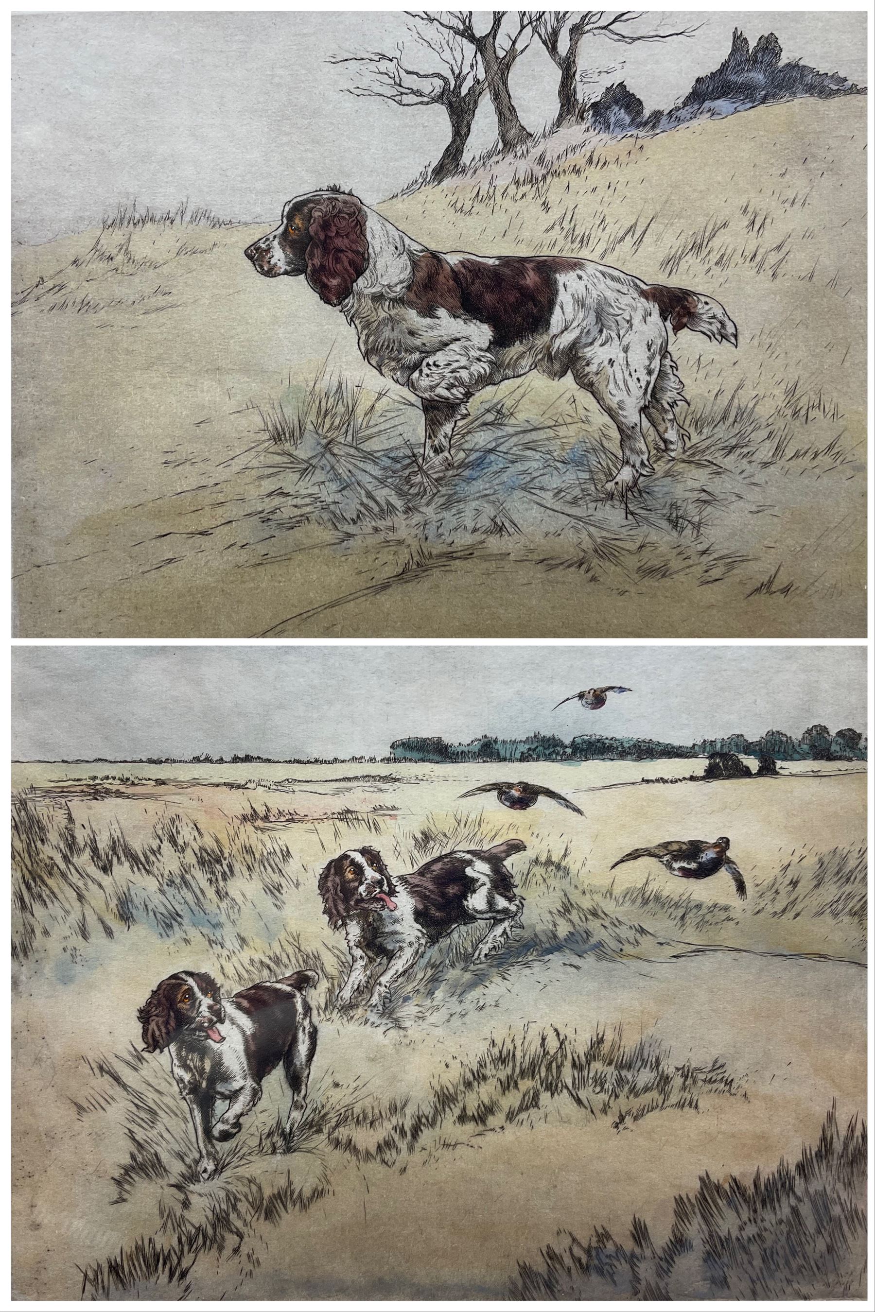 Henry Wilkinson (British 1921-2011): Spaniels, pair coloured drypoint etchings signed and numbered in pencil 18cm x 22cm (2)