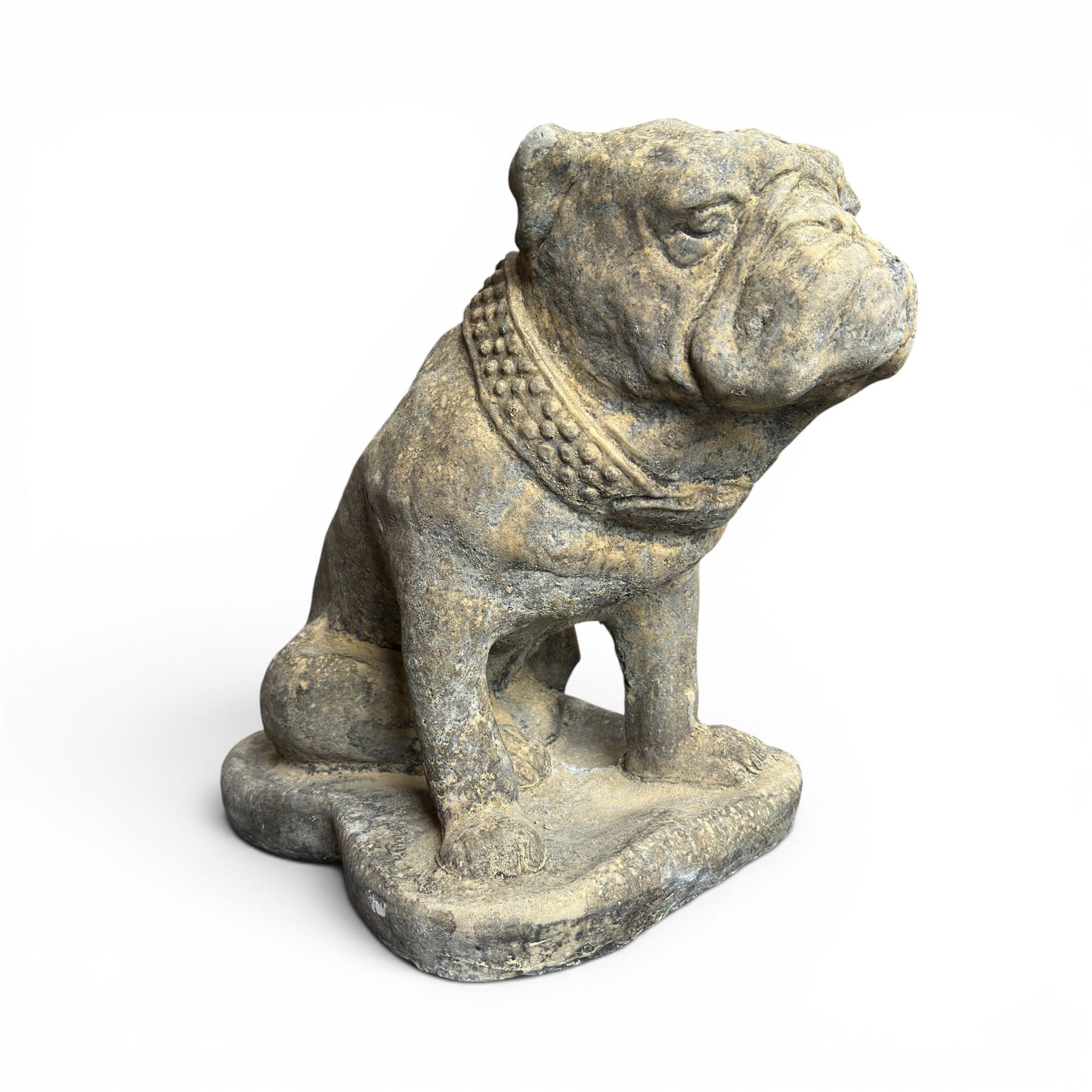 Cast stone garden statue on the form of a seated British bulldog with studded collar on a shaped rectangular base