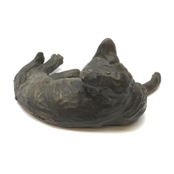 A Suzie Marsh bronzed sculpture modelled as a sleeping cat, L24cm. 