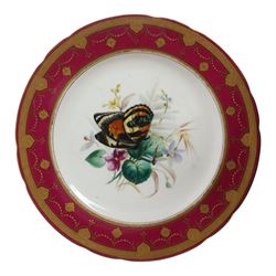 19th century Minton dessert plates, five decorated with a central ornithological study and four decorated with butterflied, each with within a red  and gilt board