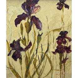 Margaret Parker (Northern British 1925-2012): Still Life of 'Irises', oil on board signed, labelled verso 53cm x 44cm