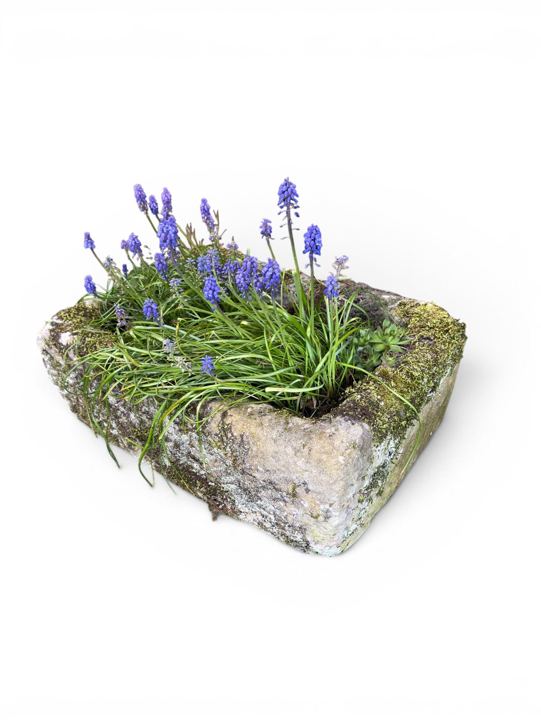 19th century weathered hewn stone planter of rectangular form, planted