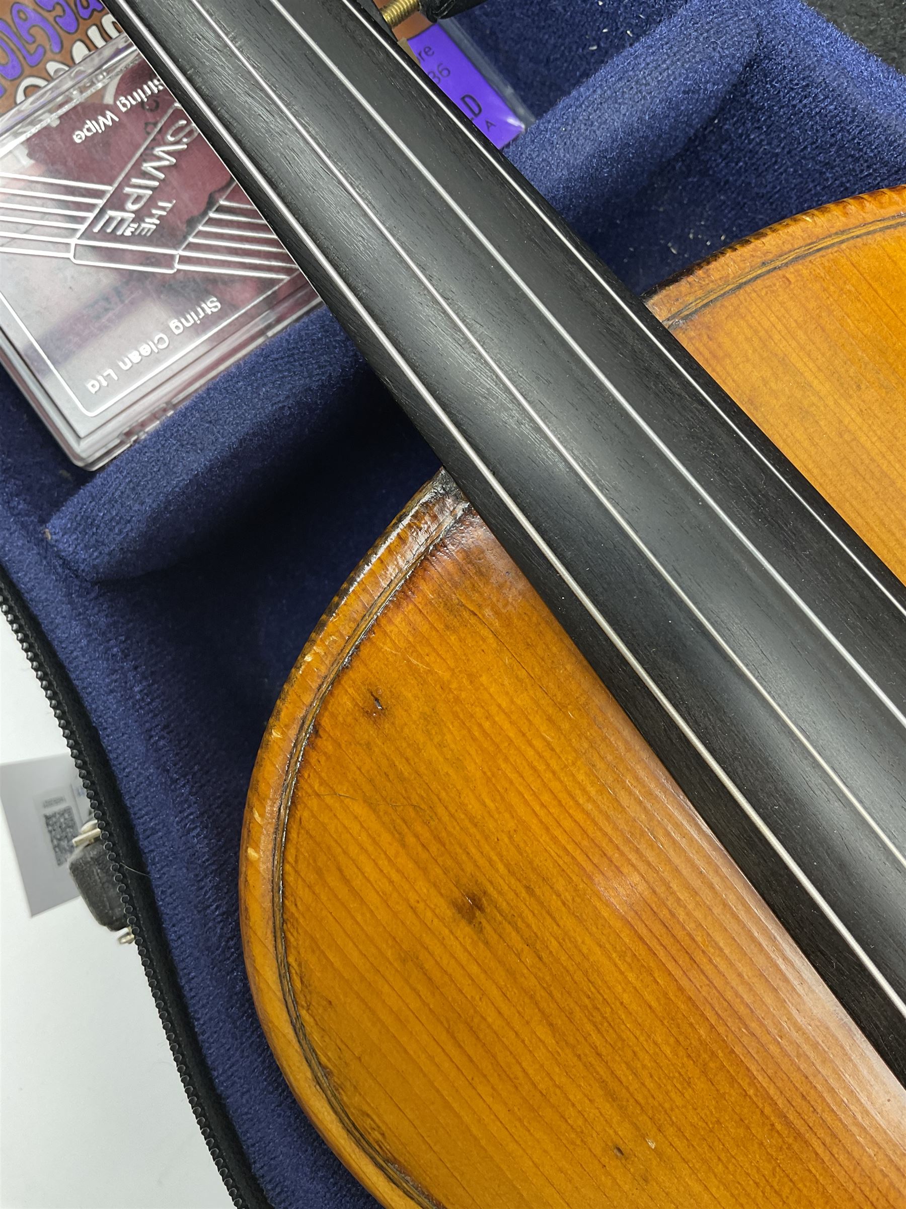1920s continental large viola with 42cm two-piece maple back and ribs and wide grain sprucewood top with guarnerie sound holes, bears label 'Werner Alajos Budapest', overall length 69cm; in modern carrying case