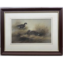 John Naylor (British 1960-): Two Ducks, pastel signed and dated '87, 26cm x 43cm 