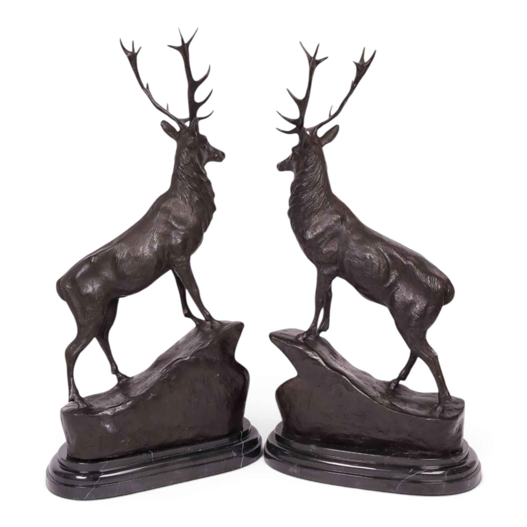 After Jules Moigniez (French 1835-1894): Pair of bronze stag figures on marble bases, each modelled alert standing on moulded rocky plinth on shaped marble bases, H74cm
