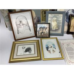 Old English Sheepdog Interest - large collection of prints, photographs and other art related to Sheepdogs 