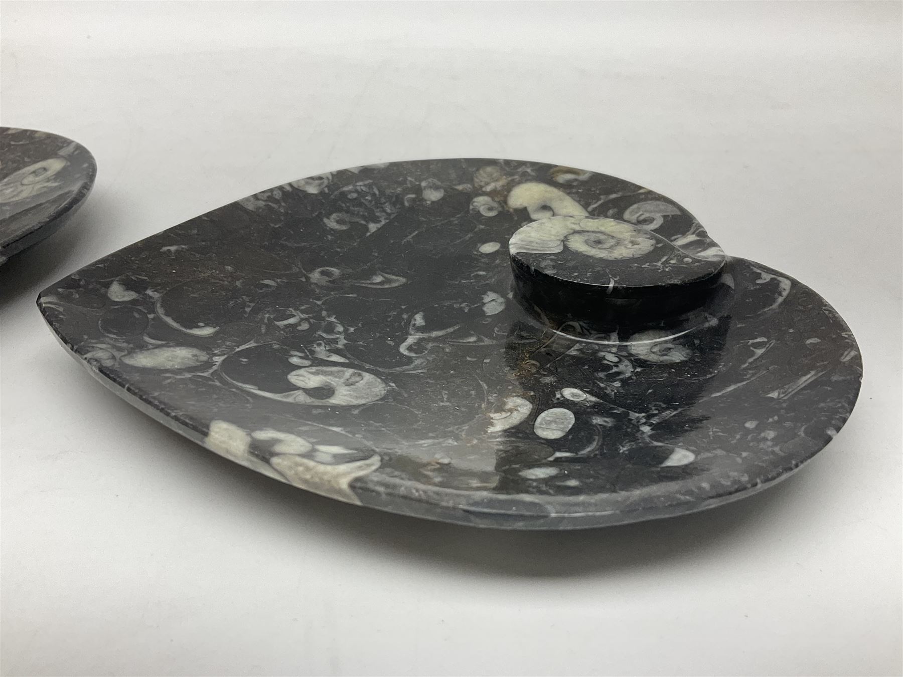 Pair of dishes in the form of hearts with a raised Goniatite to the centre and Orthoceras and Goniatite inclusions, age: Devonian period, location: Morocco, D16cm