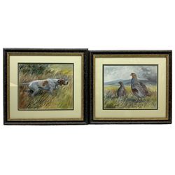 Jane Dunn (British 20th century): Partridges and Setter, pair gouaches signed 25cm x 29cm (2)