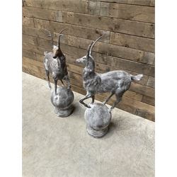 Pair of cast iron garden Stag figures or gate finials, raised on spherical ribbed base 