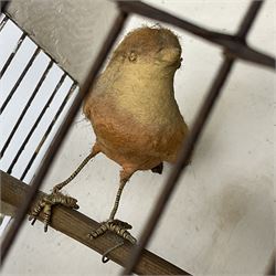 Early 20th century wire bird cage with wooden frame, pitched roof and loop handle, upon four bun feet, H41cm