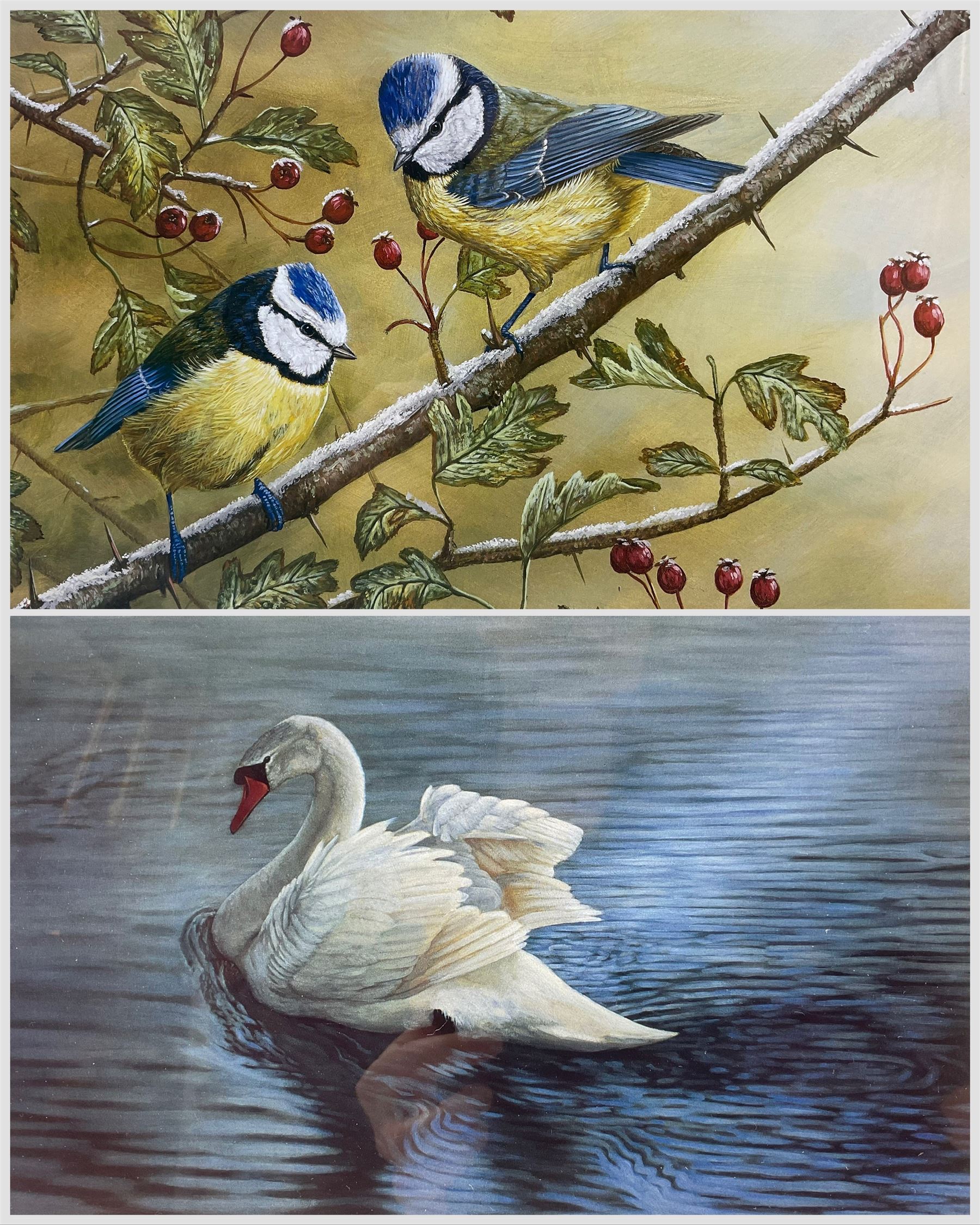 Robert E Fuller (British 1972-): Swan and Blue Tits, two limited edition colour prints signed and numbered 138/200 and 102/850 in pencil max 23cm x 32cm(2)