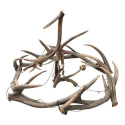 Antlers/Horns - Deer antler chandelier, of circular form, with five fitted lights