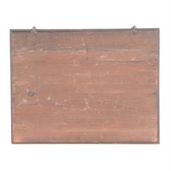 Entomology: Single glazed display of moths, single glazed display containing approximately seventy various specimens, including common tiger, lime hawk, common yellow underwing, all pinned with name labels below enclosed within a glazed entomology drawer, H36cm W46cm