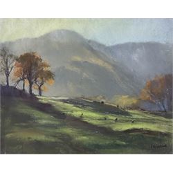 Jill Grinstead (Northern British Contemporary): 'Late Afternoon Sun - Cumbria', pastel signed, titled verso 23cm x 29cm