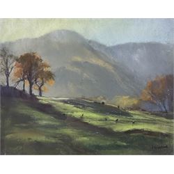 Jill Grinstead (Northern British Contemp
