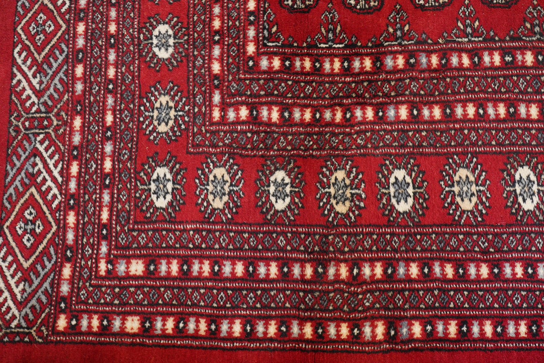 Large crimson ground Afghan Bokhara carpet, the field decorated with repeating Gul and geometric motifs, the multiple guard stripes with further geometric decoration
