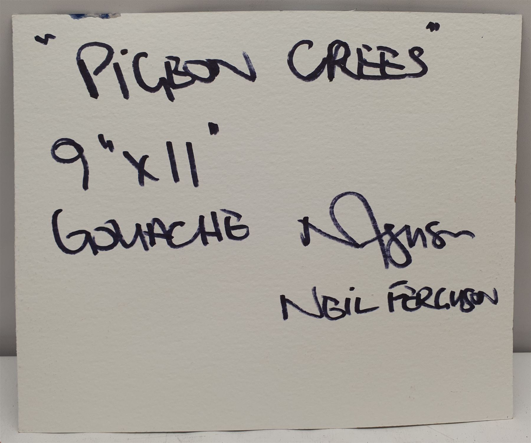 Neil Ferguson (Northern British Contemporary): 'Pigeon Crees', gouache signed with initials, titled verso 23cm x 28cm (unframed)
