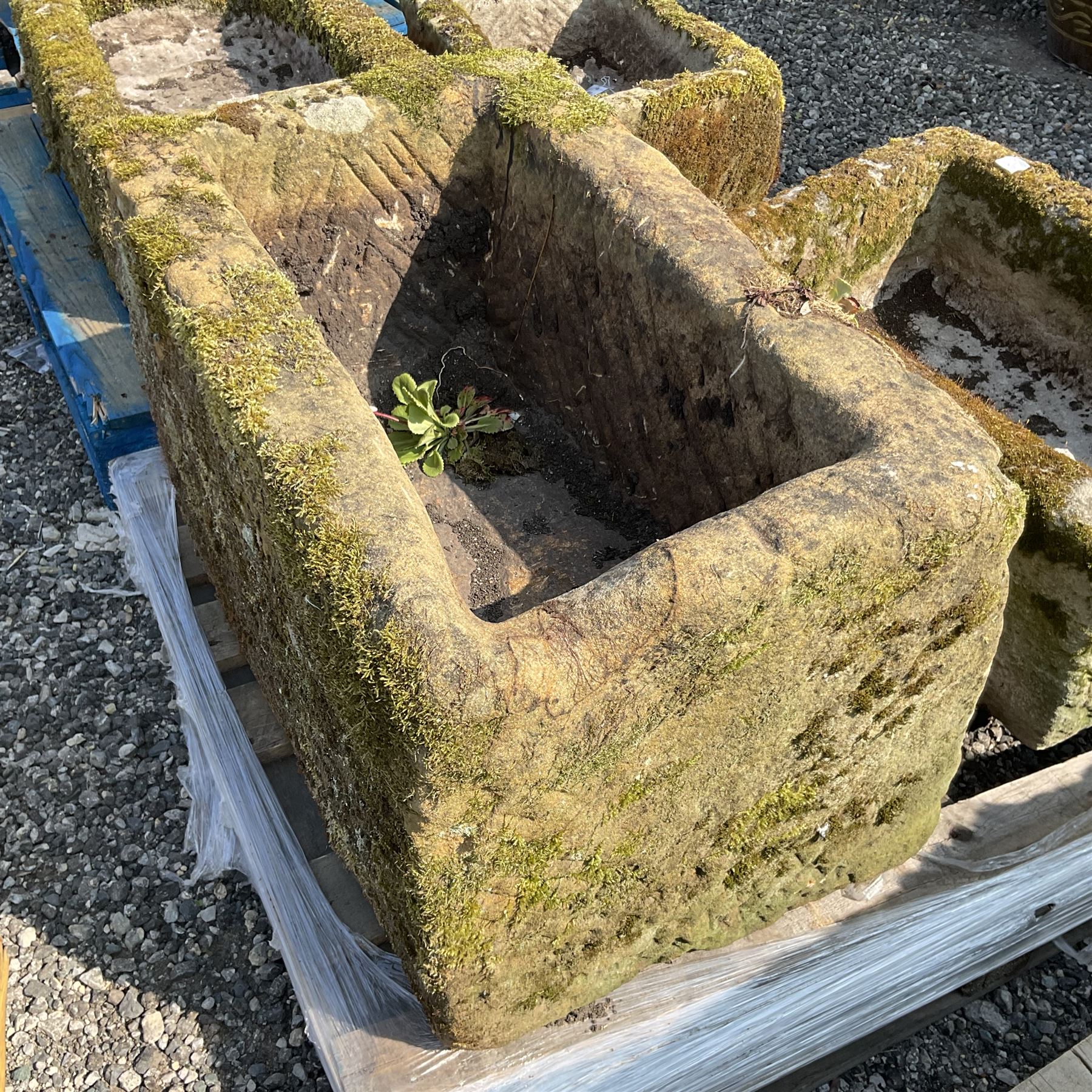 19th century medium carved stone trough  - THIS LOT IS TO BE COLLECTED BY APPOINTMENT FROM DUGGLEBY STORAGE, GREAT HILL, EASTFIELD, SCARBOROUGH, YO11 3TX