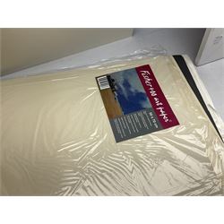 Large quantity of art supplies and equipment to include Crimson & Blake easel, tabletop easel, two large Winsor & Newton canvases and further smaller canvanses, sketchpads, paints etc