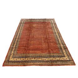 Large Persian Arak red ground carpet, the field decorated all over with small repeating Boteh motifs, multi-band border each decorated with stylised designs
