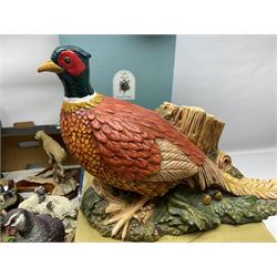 Russell Willis Border Fine Arts figures birds, partridge, A0660, together with Country Artists Goshawk and other similar figures 
