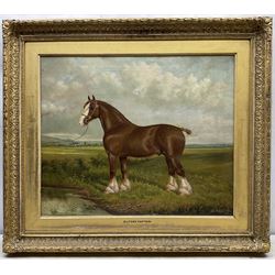 Albert Clark Snr. (British 1821-1909) and Albert James Clark (fl.1890-1943): 'Elford Captain' Portrait of a Shire Horse in Landscape, oil on canvas signed 'Albert Clark and Son' and dated 1895, 50cm x 60cm 